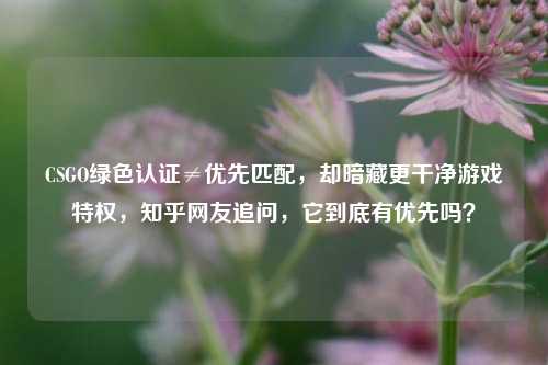 CSGO绿色认证≠优先匹配,却暗藏更干净游戏特权,知乎网友追问,它到底有优先吗?