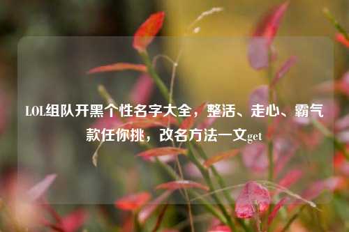 LOL组队开黑个性名字大全，整活、走心、霸气款任你挑，改名方法一文get