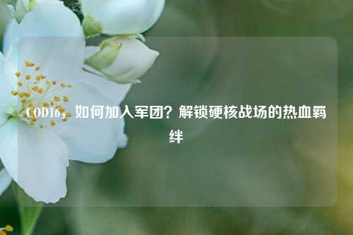 COD16,如何加入军团?解锁硬核战场的热血羁绊