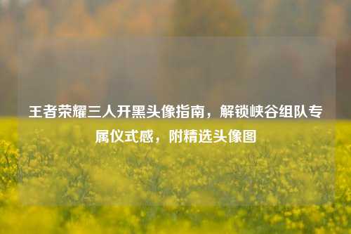 王者荣耀三人开黑头像指南,解锁峡谷组队专属仪式感,附精选头像图