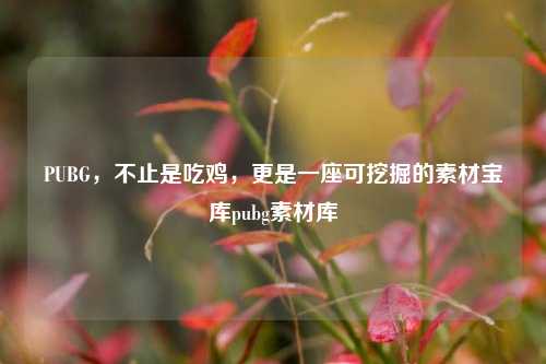 PUBG,不止是吃鸡,更是一座可挖掘的素材宝库pubg素材库