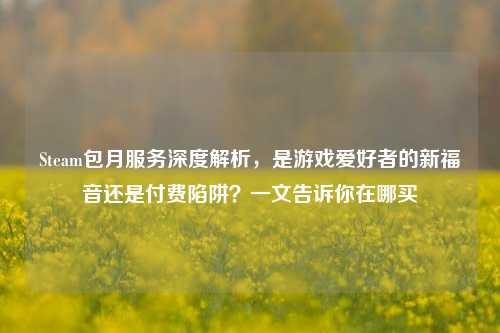 Steam包月服务深度解析,是游戏爱好者的新福音还是付费陷阱?一文告诉你在哪买
