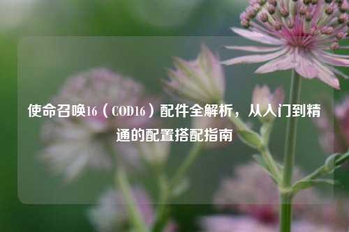 使命召唤16（COD16）配件全解析，从入门到精通的配置搭配指南