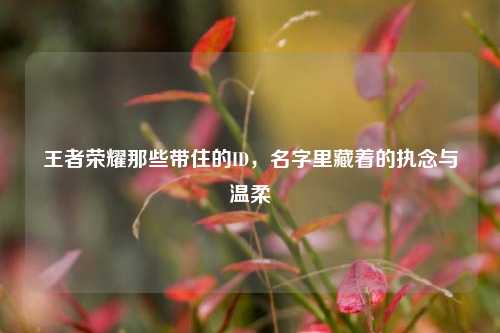 王者荣耀那些带住的ID,名字里藏着的执念与温柔