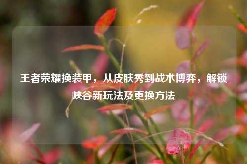 王者荣耀换装甲,从皮肤秀到战术博弈,解锁峡谷新玩法及更换方法