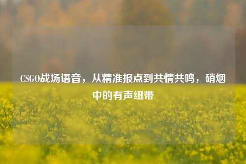 CSGO战场语音,从精准报点到共情共鸣,硝烟中的有声纽带