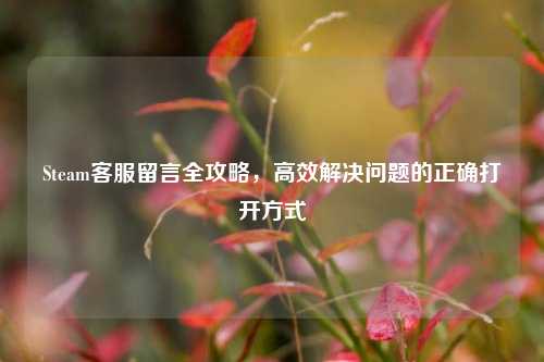 Steam客服留言全攻略，高效解决问题的正确打开方式