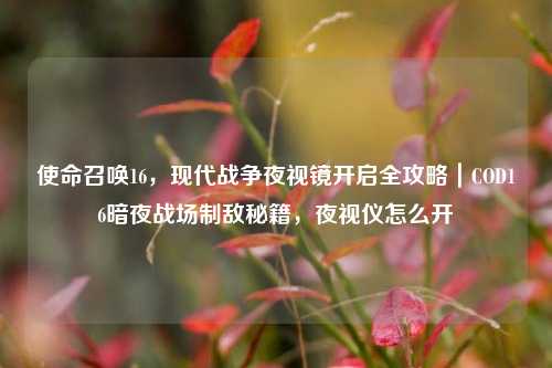 使命召唤16,现代战争夜视镜开启全攻略|COD16暗夜战场制敌秘籍,夜视仪怎么开