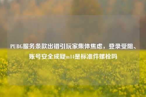 PUBG服务条款出错引玩家集体焦虑,登录受阻、账号安全成疑m14是标准件螺栓吗