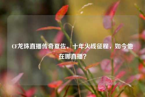 CF龙珠直播传奇夏佐,十年火线征程,如今他在哪直播?