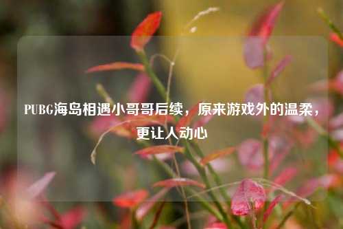 PUBG海岛相遇小哥哥后续，原来游戏外的温柔，更让人动心