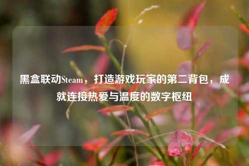 黑盒联动Steam,打造游戏玩家的第二背包,成就连接热爱与温度的数字枢纽