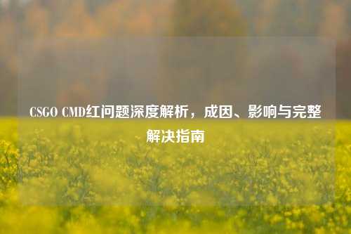 CSGO CMD红问题深度解析,成因、影响与完整解决指南