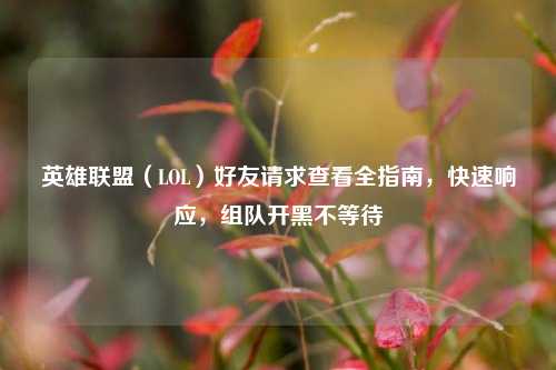 英雄联盟(LOL)好友请求查看全指南,快速响应,组队开黑不等待