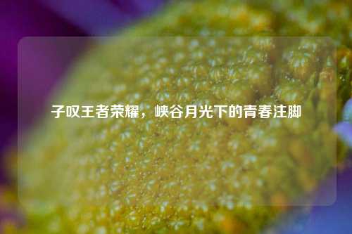 子叹王者荣耀,峡谷月光下的青春注脚