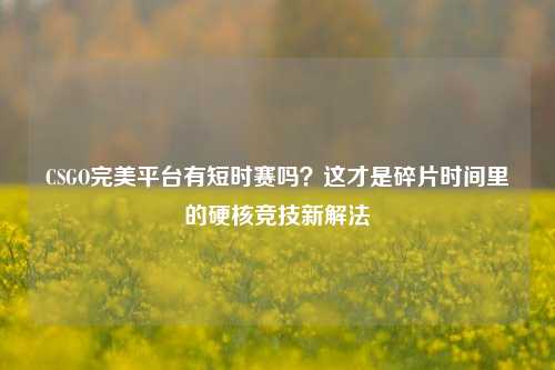 CSGO完美平台有短时赛吗?这才是碎片时间里的硬核竞技新解法