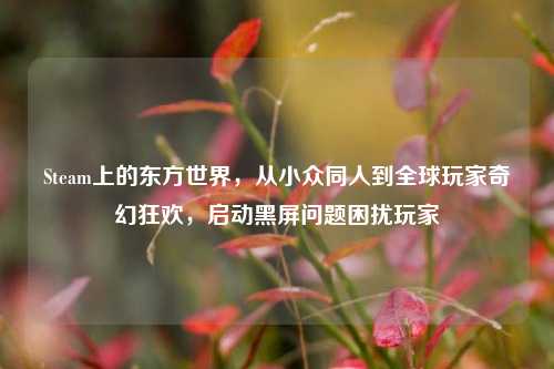 Steam上的东方世界,从小众同人到全球玩家奇幻狂欢,启动黑屏问题困扰玩家