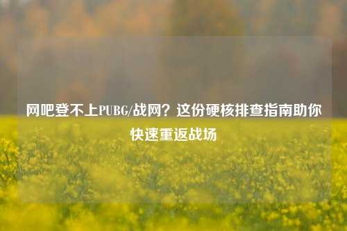 网吧登不上PUBG/战网?这份硬核排查指南助你快速重返战场
