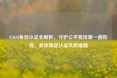 CSGO身份认证全解析,守护公平竞技第一道防线,教你搞定认证失败难题