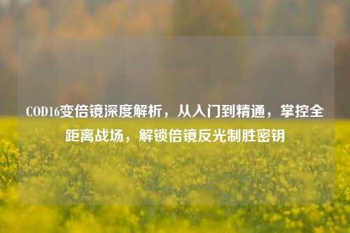 COD16变倍镜深度解析,从入门到精通,掌控全距离战场,解锁倍镜反光制胜密钥