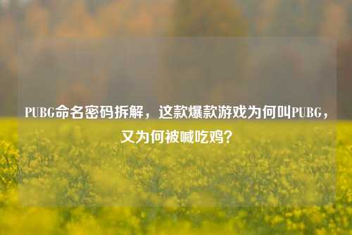 PUBG命名密码拆解,这款爆款游戏为何叫PUBG,又为何被喊吃鸡?