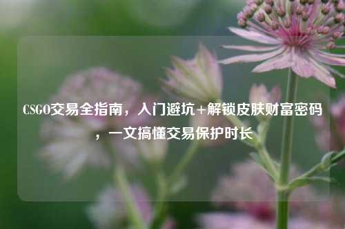 CSGO交易全指南，入门避坑+解锁皮肤财富密码，一文搞懂交易保护时长