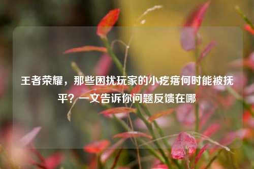 王者荣耀,那些困扰玩家的小疙瘩何时能被抚平?一文告诉你问题反馈在哪