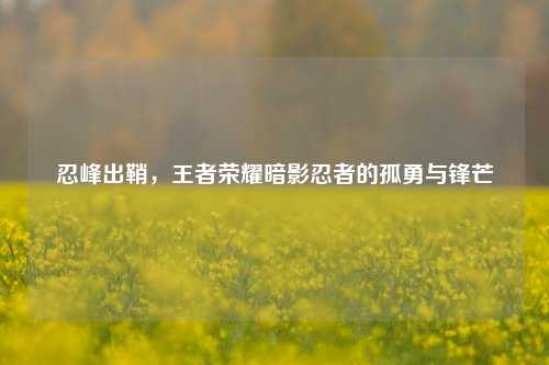 忍峰出鞘,王者荣耀暗影忍者的孤勇与锋芒