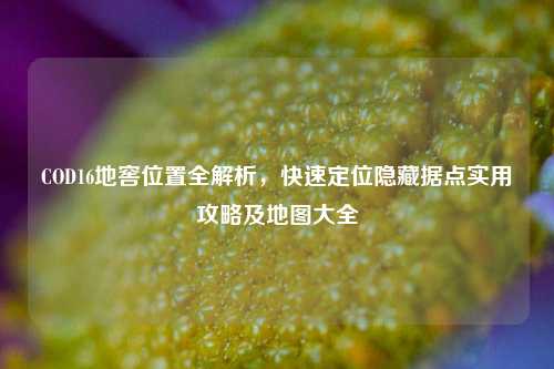 COD16地窖位置全解析,快速定位隐藏据点实用攻略及地图大全