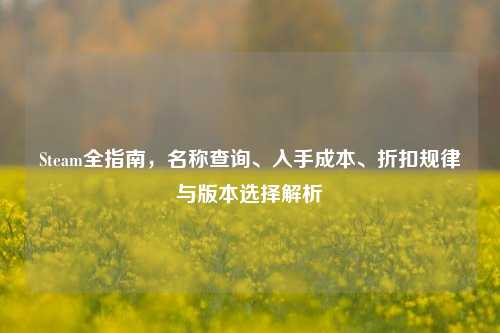 Steam全指南,名称查询、入手成本、折扣规律与版本选择解析