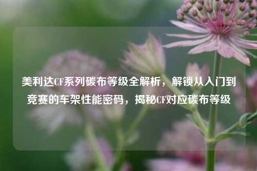 美利达CF系列碳布等级全解析,解锁从入门到竞赛的车架性能密码,揭秘CF对应碳布等级