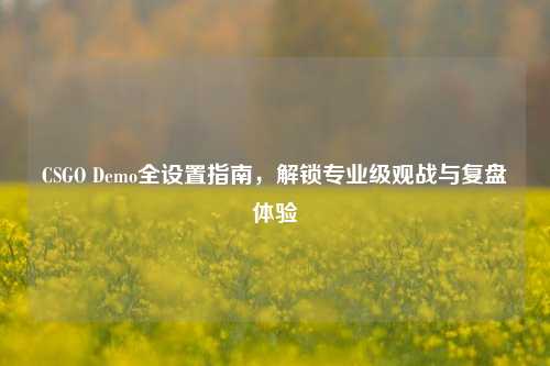 CSGO Demo全设置指南,解锁专业级观战与复盘体验