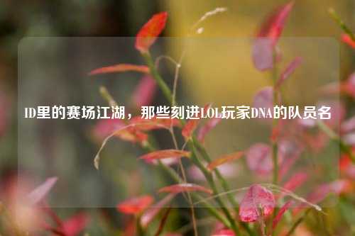 ID里的赛场江湖,那些刻进LOL玩家DNA的队员名