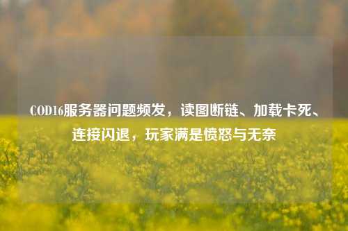 COD16服务器问题频发,读图断链、加载卡死、连接闪退,玩家满是愤怒与无奈
