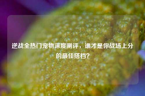 逆战全热门宠物深度测评,谁才是你战场上分的最佳搭档?