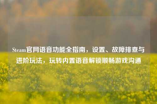 Steam官网语音功能全指南,设置、故障排查与进阶玩法,玩转内置语音解锁顺畅游戏沟通