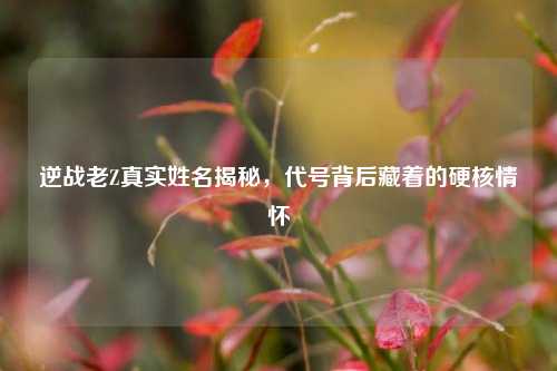 逆战老Z真实姓名揭秘,代号背后藏着的硬核情怀