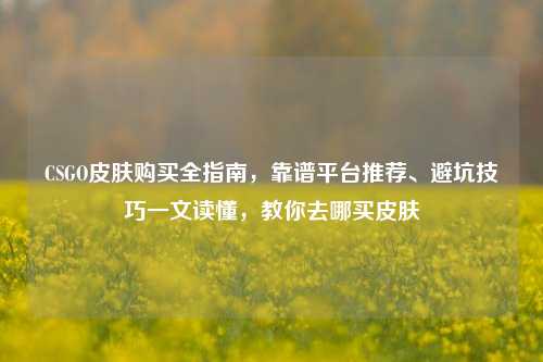 CSGO皮肤购买全指南,靠谱平台推荐、避坑技巧一文读懂,教你去哪买皮肤