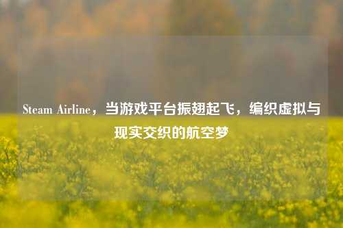 Steam Airline,当游戏平台振翅起飞,编织虚拟与现实交织的航空梦