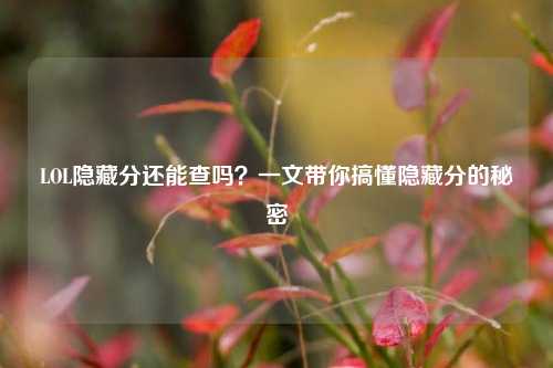 LOL隐藏分还能查吗?一文带你搞懂隐藏分的秘密