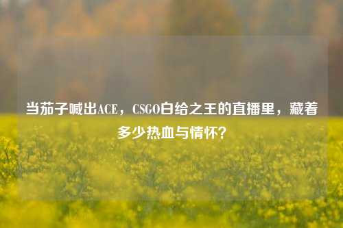当茄子喊出ACE,CSGO白给之王的直播里,藏着多少热血与情怀?