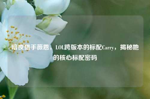 暗夜猎手薇恩,LOL跨版本的标配Carry,揭秘她的核心标配密码