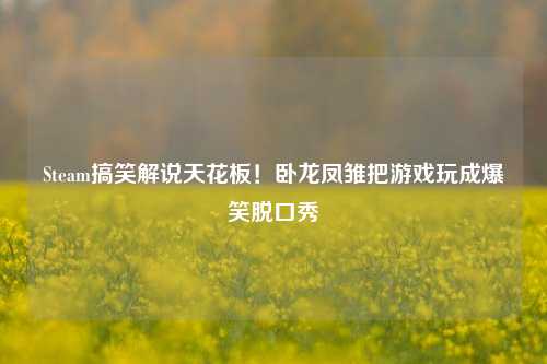 Steam搞笑解说天花板！卧龙凤雏把游戏玩成爆笑脱口秀