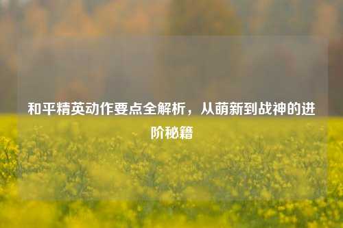 和平精英动作要点全解析,从萌新到战神的进阶秘籍