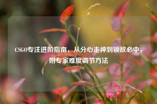 CSGO专注进阶指南,从分心走神到锁敌必中,附专家难度调节方法