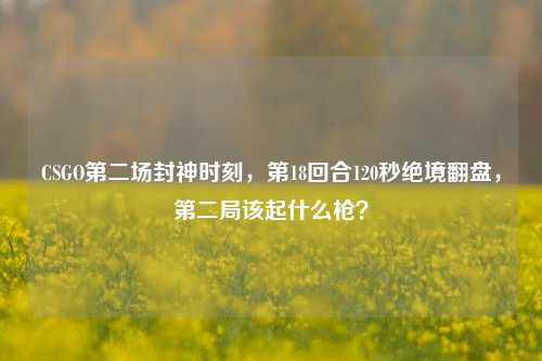 CSGO第二场封神时刻,第18回合120秒绝境翻盘,第二局该起什么枪?