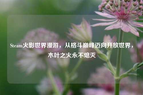 Steam火影世界漫游，从格斗巅峰迈向开放世界，木叶之火永不熄灭
