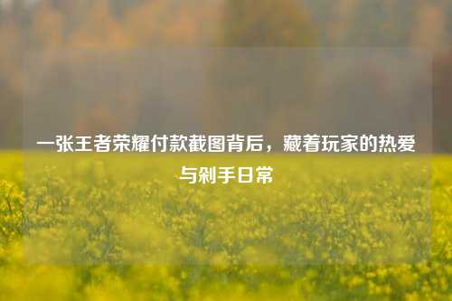一张王者荣耀付款截图背后,藏着玩家的热爱与剁手日常