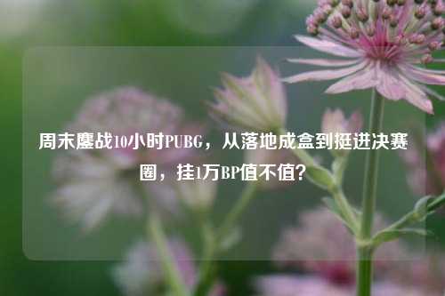 周末鏖战10小时PUBG,从落地成盒到挺进决赛圈,挂1万BP值不值?