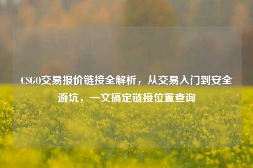 CSGO交易报价链接全解析，从交易入门到安全避坑，一文搞定链接位置查询